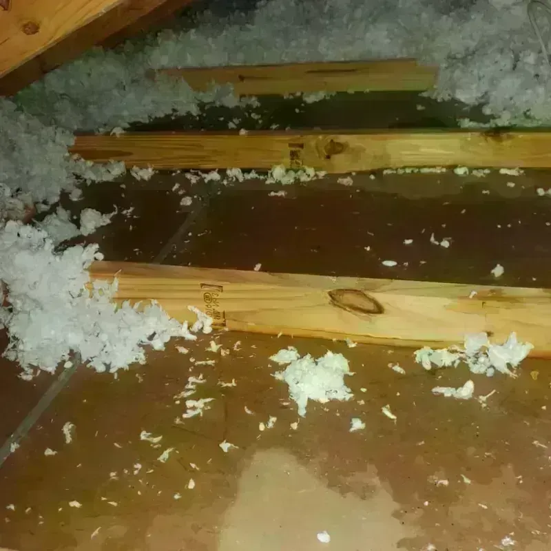 Attic Water Damage in Comanche, OK