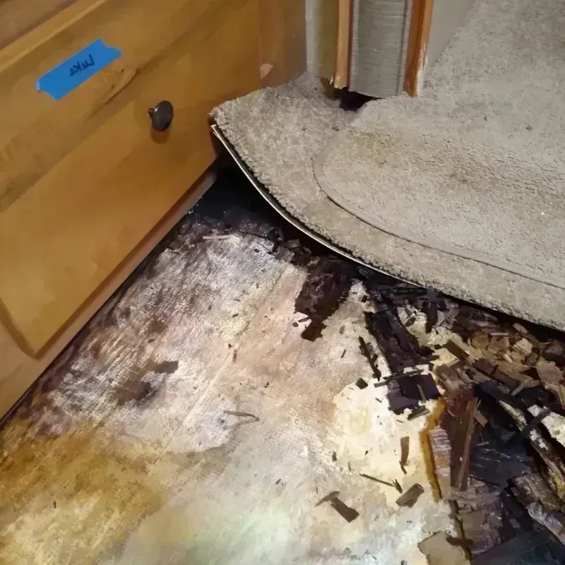 Wood Floor Water Damage in Comanche, OK